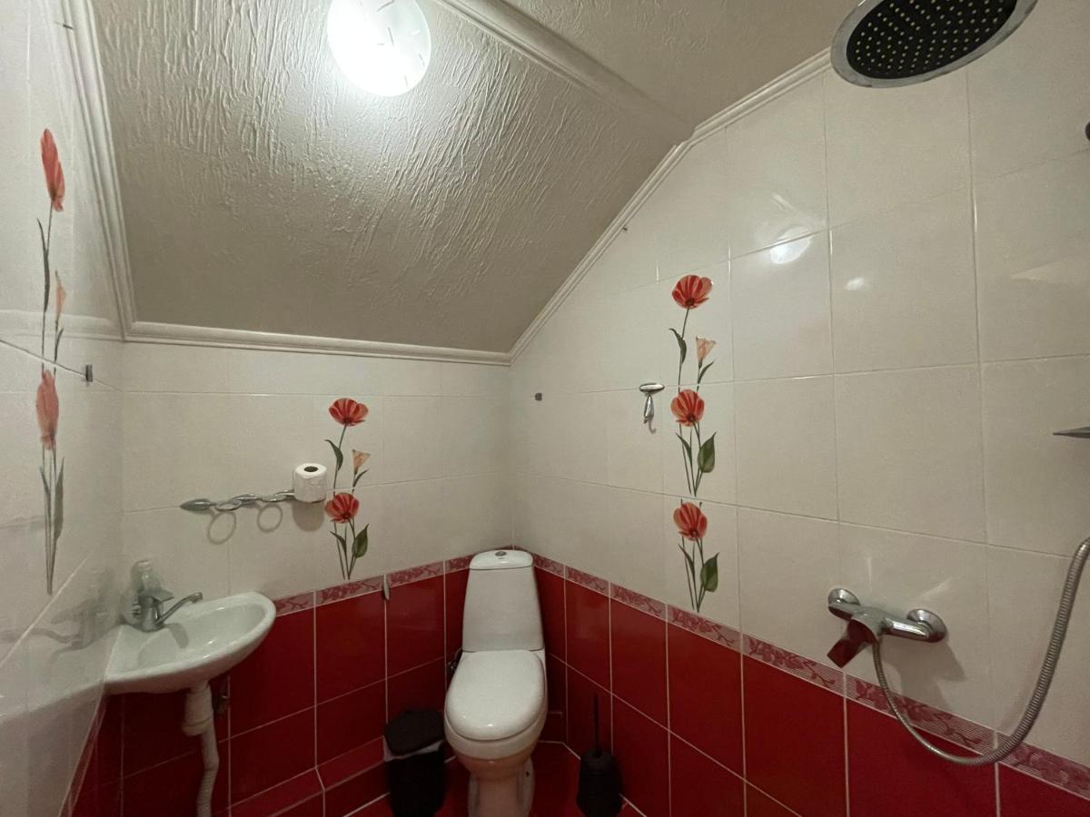 Villa Aeroport Розовый Дом Кишинев Екстериор снимка